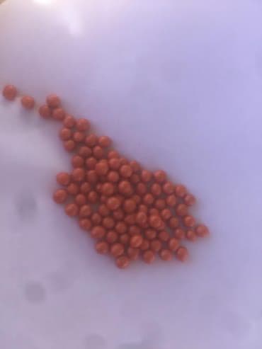 сейф бизнес маркетинг: Семена кормовых растений: Люцерна — 6