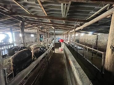 продаю дом с мебелью: Продаётся двухэтажный частный дом с просторным двором. Планировка и — 10