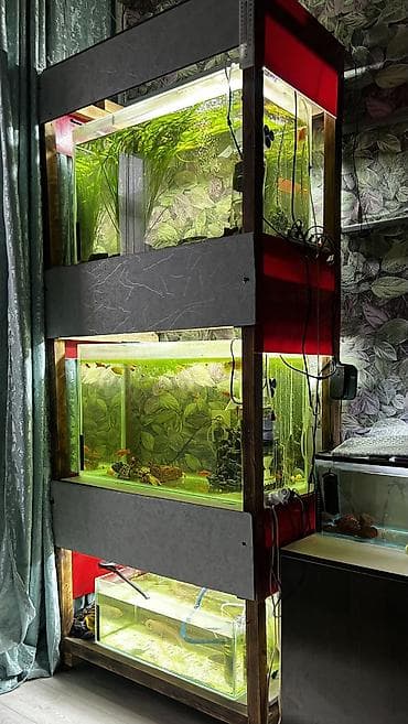 Аквариумный комплекс из трех стеклянных аквариумов на общей деревянной