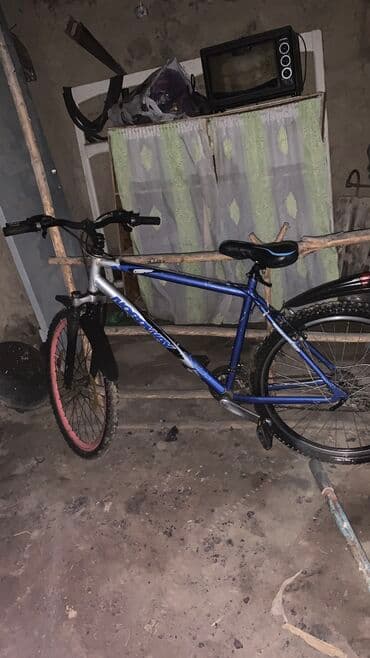 Музыкальные инструменты: Городской велосипед, Рама L (172 - 185 см), Б/у — 4