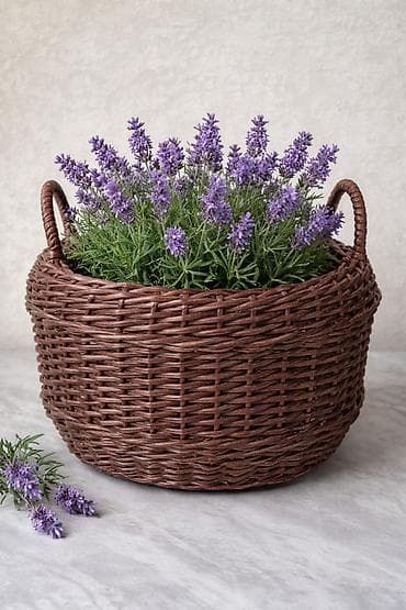 для набора: Плетёные корзины-кашпо для дома и сада - Форма: округлая, широкое — 3