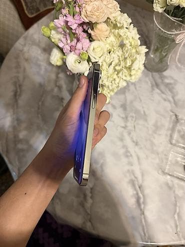 iphone 5s: IPhone 14 Pro Max, Б/у, 256 ГБ, Серебристый, Защитное стекло, Чехол, Кабель, 87 % — 6