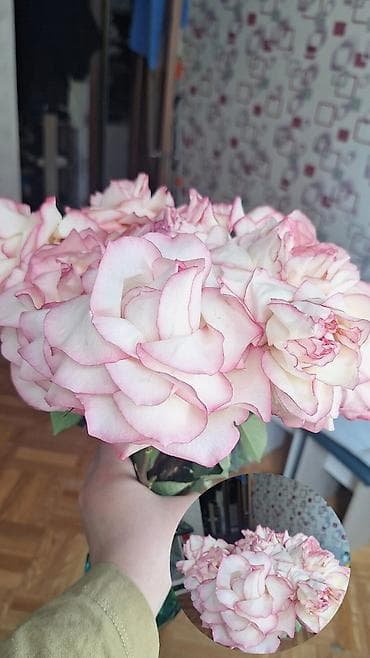 технолог швейная: Упаковщик — 2