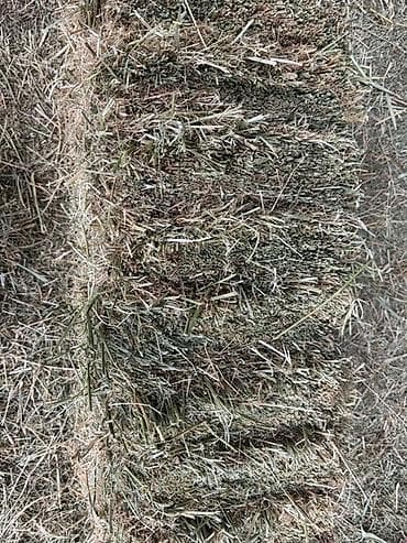 кормушки для птиц: Сено в тюках (прямоугольные малые тюки). - Травяная смесь: луговые — 1