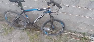 купить турник 3 в 1: Горный велосипед, Skillmax, Алюминий — 10