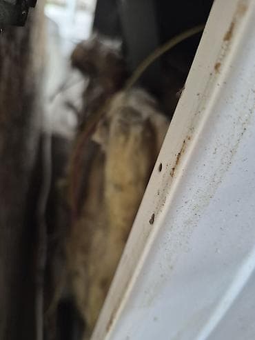 электрическая духовка luxell: Комбинированная, Б/у — 4