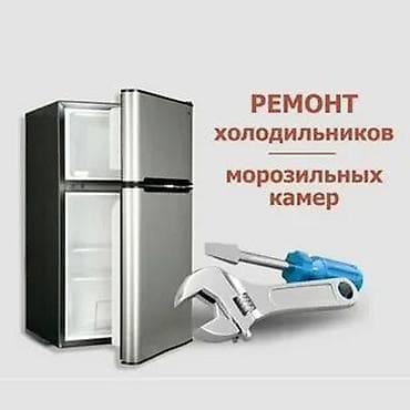 Здравствуйте. Делаю ремонт, профилактику холодильников и