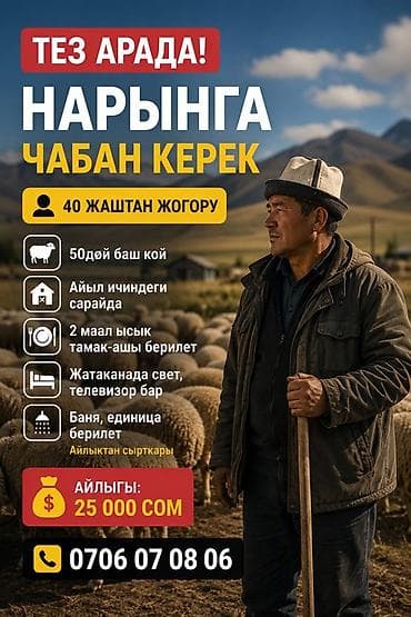 Требуется Пастух, Оплата: Ежемесячно, Питание at lalafo.kg Требуется Пастух, Оплата: Ежемесячно, Питание