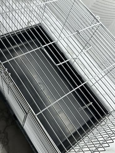 scottish fold: Клетка для хомяков/крыс 
Размеры 25
Не погрызанная,в хорошем состоянии — 3