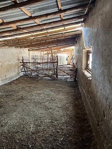 куплю кошар: ПРОДАЮ КАШАР! Продается КАШАР с жилым ДОМОМ в Иссык-Кульской — 1