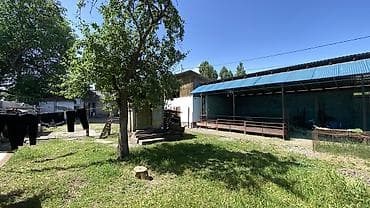 продаю дом село красная речка: Продаётся дом в г.Кара-Балта Ул.полевая дом N2 -Участок 15 соток - — 9