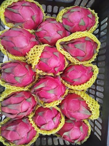 куплю малину оптом: Питахайя (драконий фрукт), красная кожура с зелёными чешуйками — 1