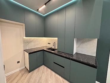 2 комнаты, 45 м², Мед Академия Элитка, 6 этаж, Евроремонт — 4
