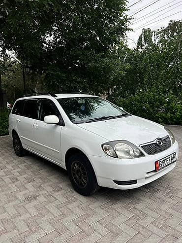 Toyota Corolla: 2002 г., Универсал — 1