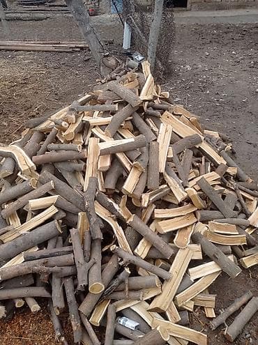 баскетбольная одежда: Дрова — 2