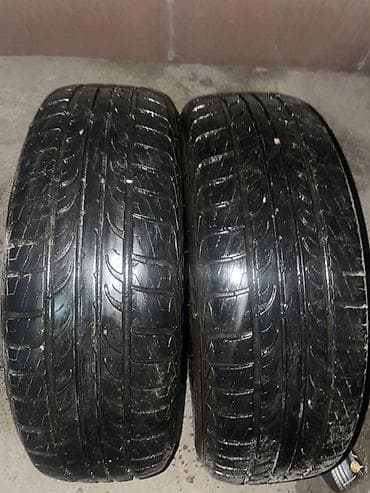 titan diski: Шины 195 / 65 / R 15, Лето, Пара, Легковые, TUNGA — 1