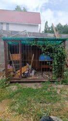 сколько стоят щенки ротвейлера: Алабай, 2 года, Самец, С прививкой, С родословной — 2