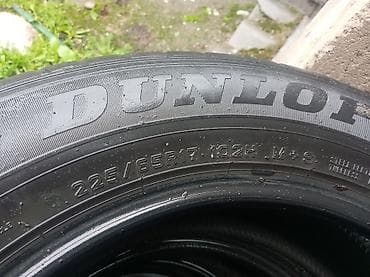 225 55 р17: Шины 225 / 65 / R 17, Всесезонная, Комплект, Внедорожные (АТ/МТ), Dunlop — 1