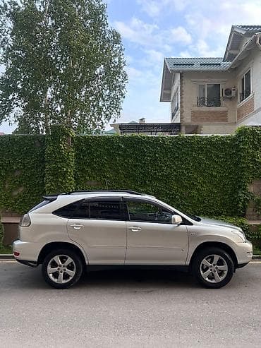 лексус минивен: Lexus RX: 2003 г., 3.3 л, Автомат, Бензин, Внедорожник — 1