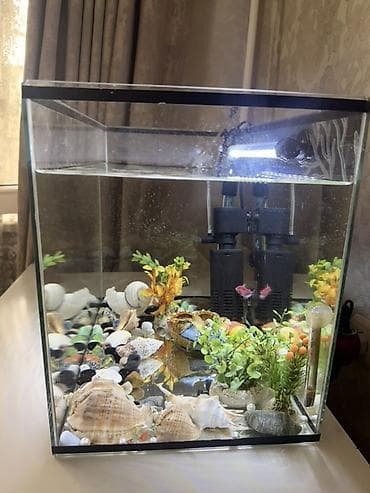 подсветка для аквариума: Аквариумный комплект на 40 литров (прямоугольный стеклянный аквариум — 1