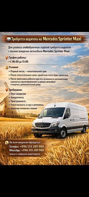 Талап кылынат Айдоочу-экспедитор, Компания транспорту, Толук жумуш күнү