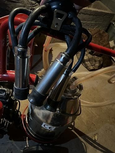 Товары и оборудование для с/х животных: Доильный аппарат на тележке для коров Описание: - Передвижной — 5