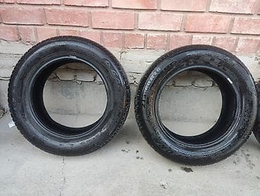 cl 7: Шины 215 / 60 / R 16, Лето, Комплект, Легковые, Goform — 2