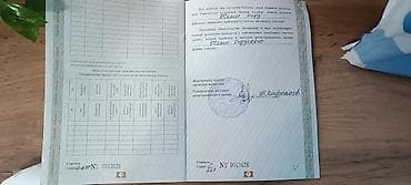 novel otel: 144 соток, Для сельского хозяйства, Договор купли-продажи — 4