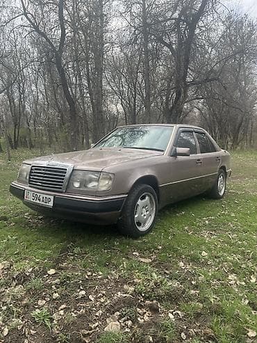 Mercedes-Benz W124: 1993 г., 2 л, Ручные, Бензин, Седан