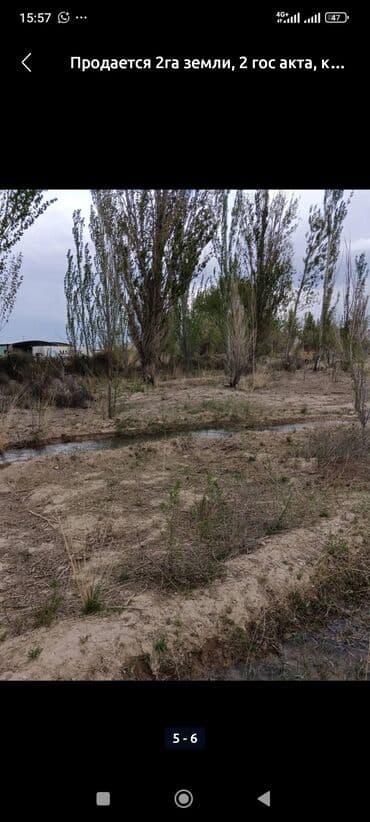 дом на военноантоновка: 100 соток, Для бизнеса, Договор купли-продажи — 7