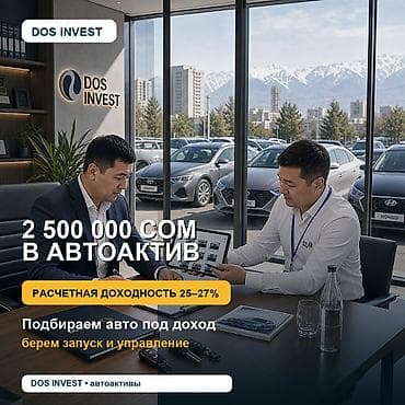 Современный подход к автомобильным активам вместе с DOS INVEST