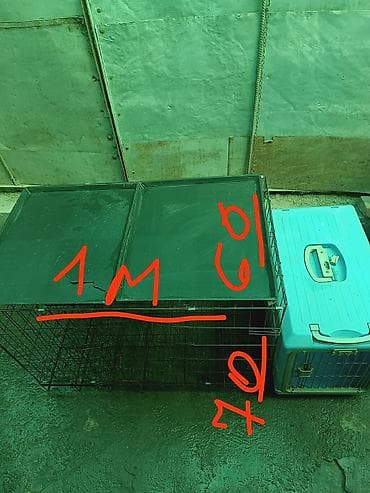 Хорьки: Клетка переноска подстилка размер под клетку одежка все б/у кое где — 3