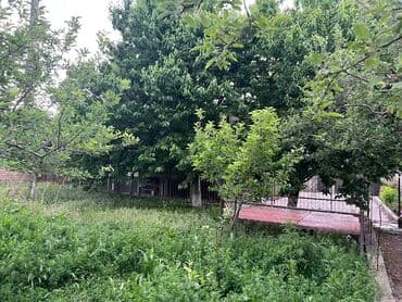 дом продажа арча бешик: Дом, 120 м², 3 комнаты, Собственник, Старый ремонт — 4