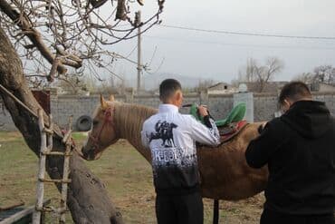 форма для охраны купить: Ушундай фасондогу спорттук костюмдарга буйрутма алабыз. 10 штуктан коп — 12