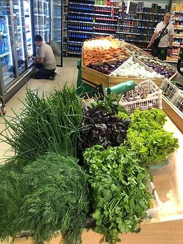места для овощи: 🥬 ПРОДАЁТСЯ ГОТОВЫЙ ОВОЩНОЙ БИЗНЕС В БИШКЕКЕ Продаётся действующий — 6