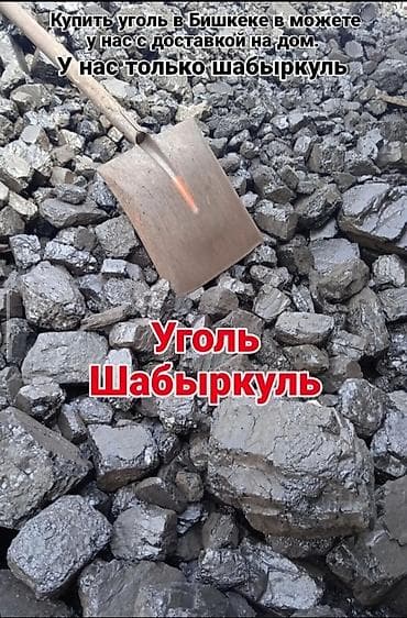 угольный брекеты: Уголь Шабыркуль с доставкой по Бишкеку — 3