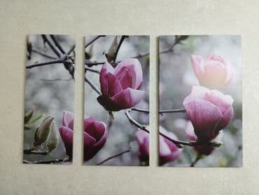 Модульная картина "Магнолия". В идеальном состоянии