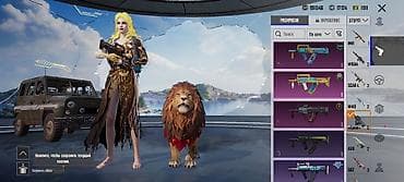 Аксессуары: Игровой аккаунт PUBG Mobile Состав и особенности: - Уровень — 1