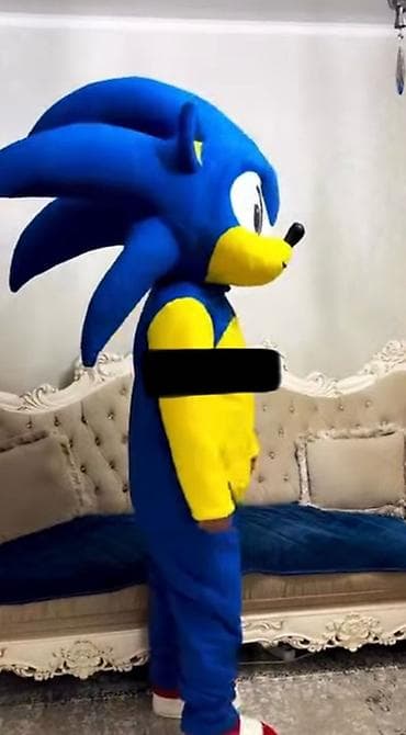 костюмы для детей: Ростовая кукла, Мультфильм, Ежик — 2