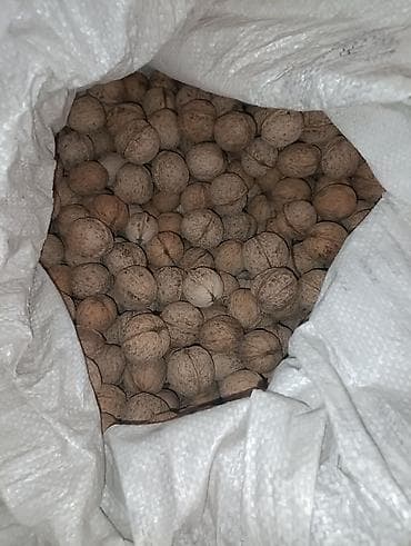 Грецкий орех в скорлупе - Натуральные грецкие орехи, собранные