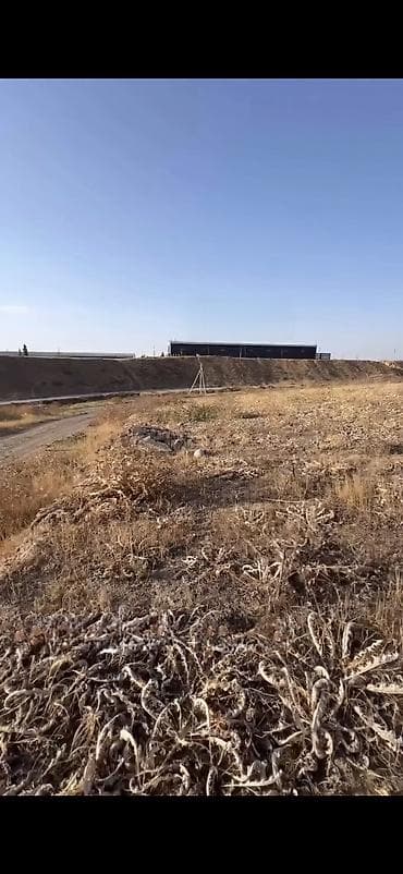 село кок жар участак: 6 соток, Для строительства, Красная книга — 2