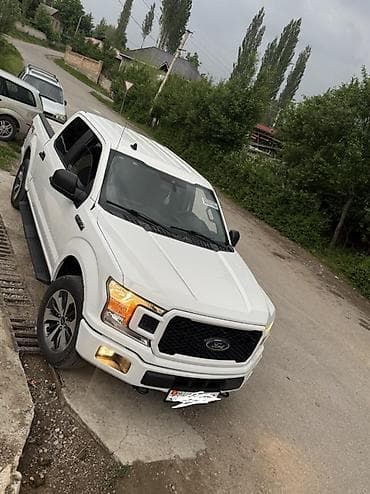 mini copper: Ford F-150: 2020 г., 2.7 л, Автомат, Бензин, Пикап — 1