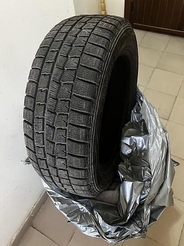 Шины 205 / 55 / R 16, Зима, Б/у, Комплект, Легковые, Япония, Dunlop — 3