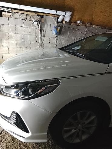 полировка автомобиля: Полировка и детейлинг кузова автомобиля. Профессиональная — 4