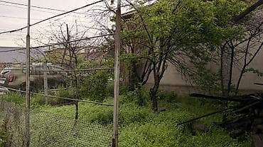 Земельные участки: 3 соток, Для строительства, Красная книга — 3