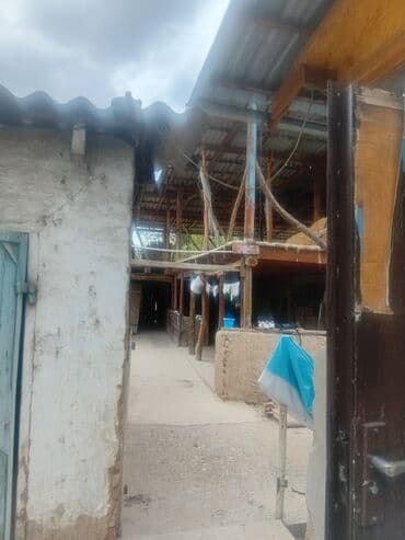 продаю дом новониколаевка: Дом, 78 м², 5 комнат, Собственник, ПСО (под самоотделку) — 16