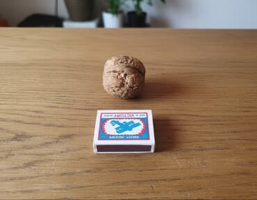 эспарсет семена: Грецкий орех в скорлупе - Натуральные грецкие орехи, неочищенные — 1