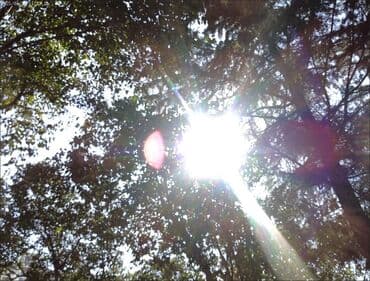 детский фотоаппарат с моментальной печатью: 📸 Цифровая камера S95 Pro с Wi-Fi Новая компактная камера в фирменной — 4