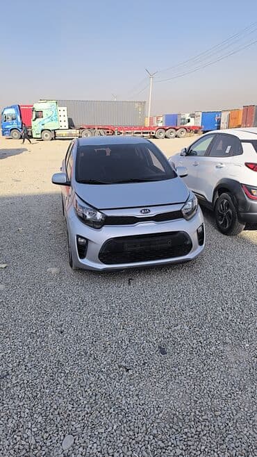 шины зимние r13: Kia Morning: 2019 г., 1 л, Автомат, Бензиновая, Хэтчбэк — 2