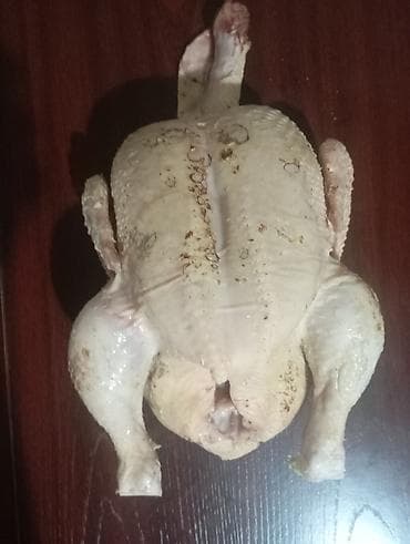 Домашние куры бройлер халяль без ГМО 330 за кг в среднем 2.5кг